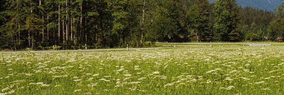 Abenins Verpackungsphilosophie: Nachhaltigkeit im Fokus