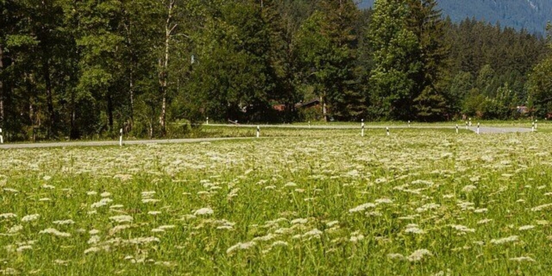 Abenins Verpackungsphilosophie: Nachhaltigkeit im Fokus